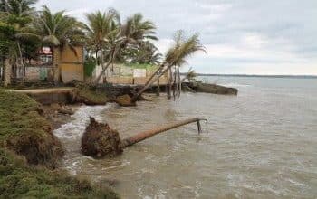 Frenar la erosi&oacute;n costera
