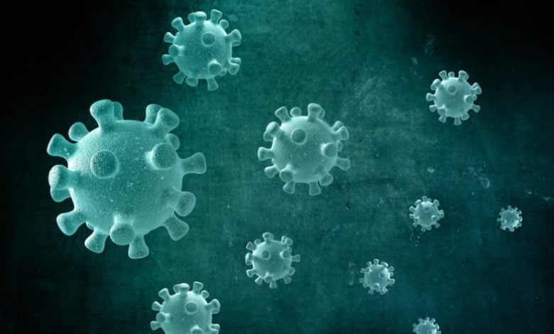 cepa brit&aacute;nica