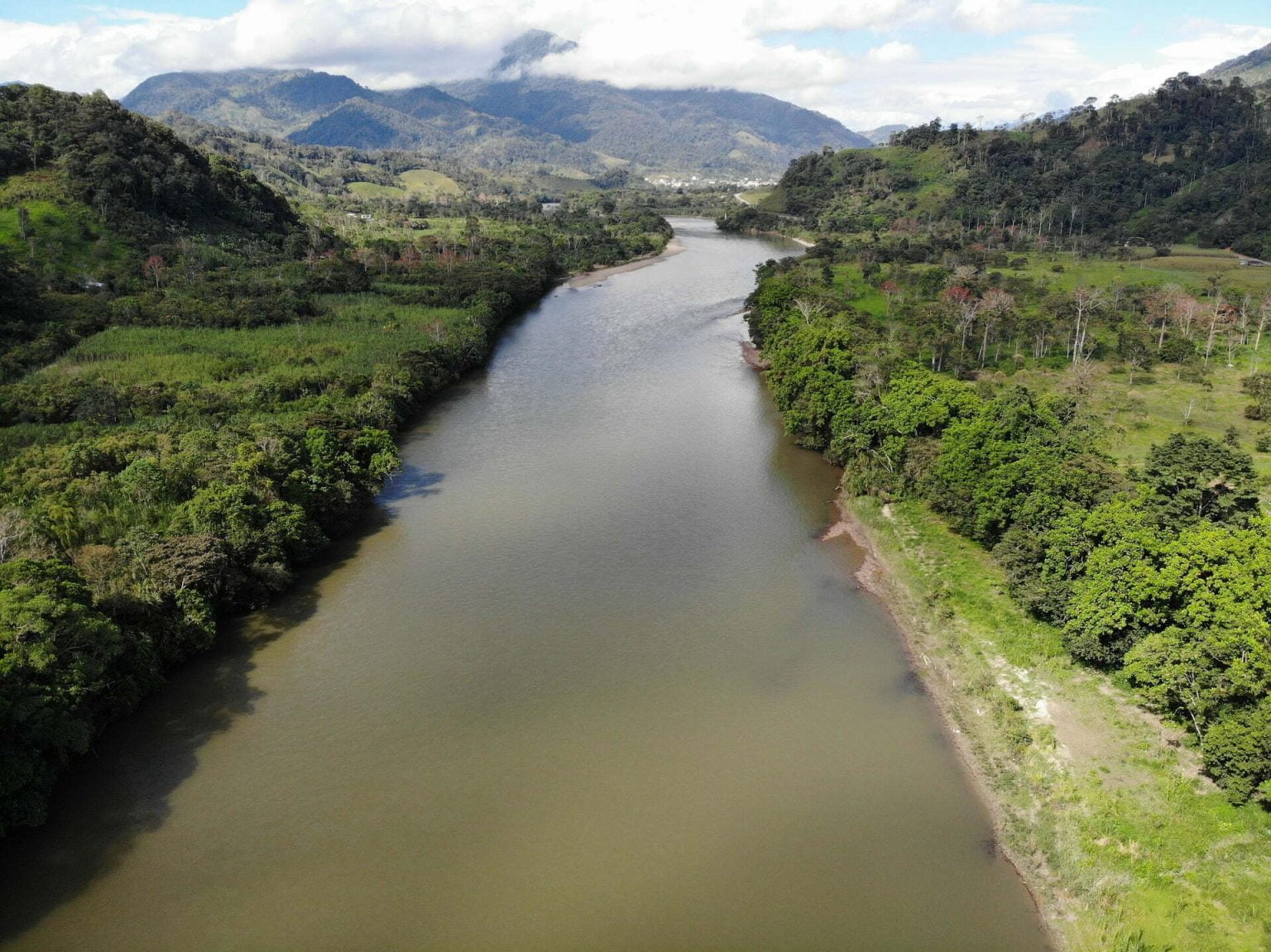 Proyecto para proteger la amazonía