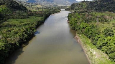 Proyecto para proteger la amazon&iacute;a