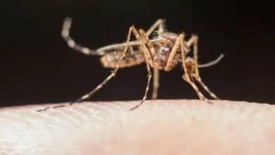 vacuna contra la malaria