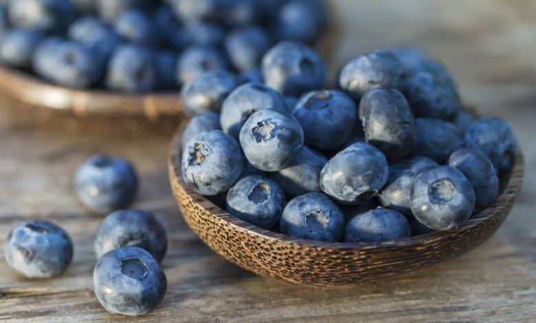 Los 7 beneficios del ar&aacute;ndano para tu salud