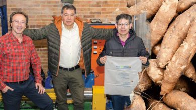 bolsa de almid&oacute;n de yuca