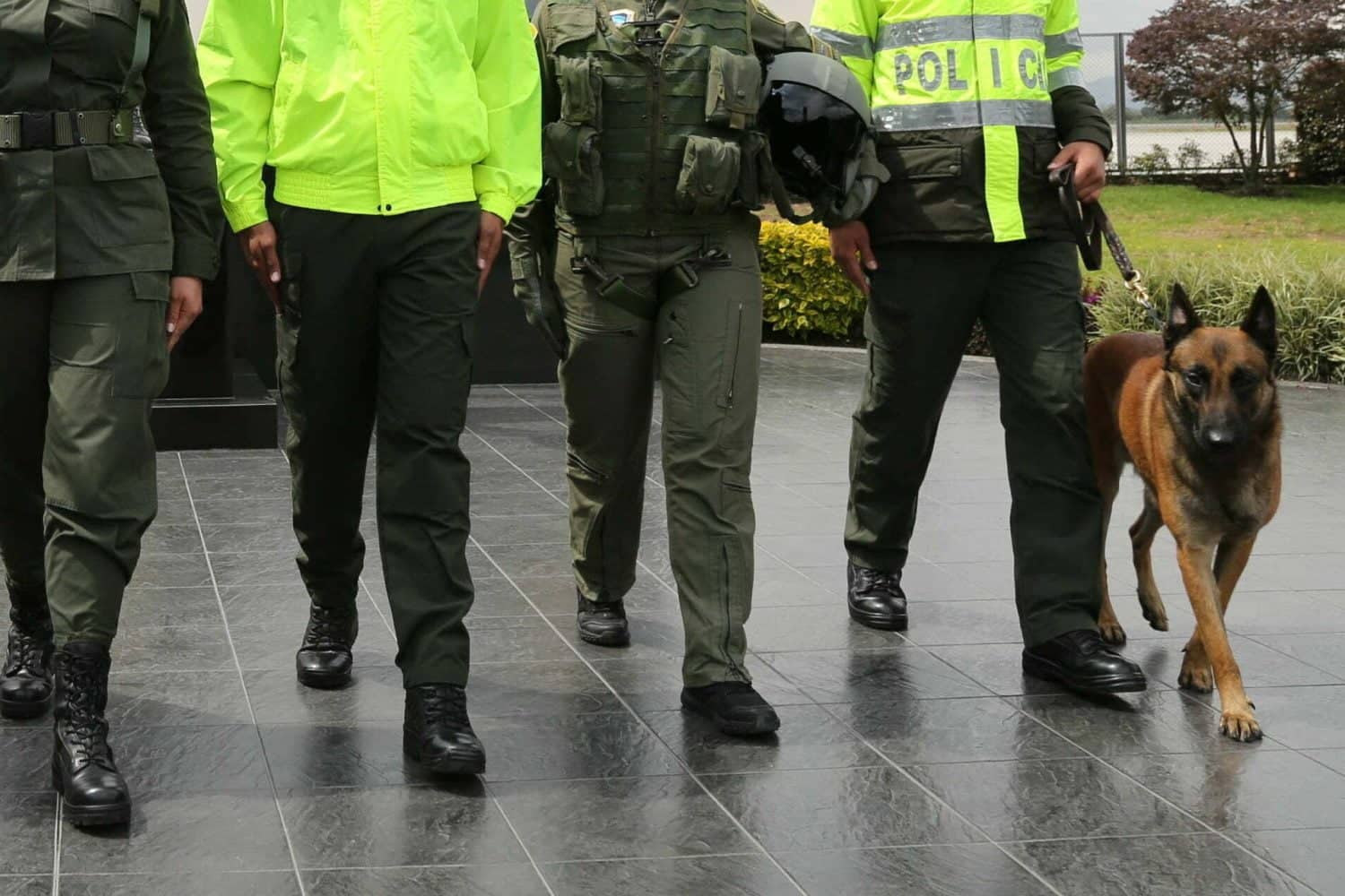 entidades del Estado / procuradur&iacute;a