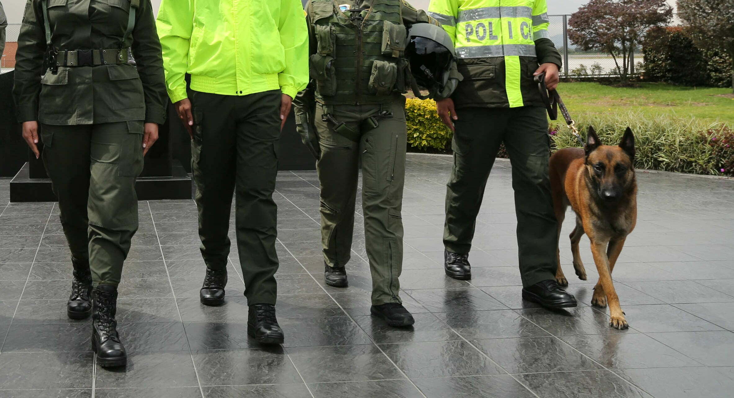 entidades del Estado / procuradur&iacute;a