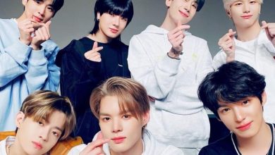 seguidores de K-pop