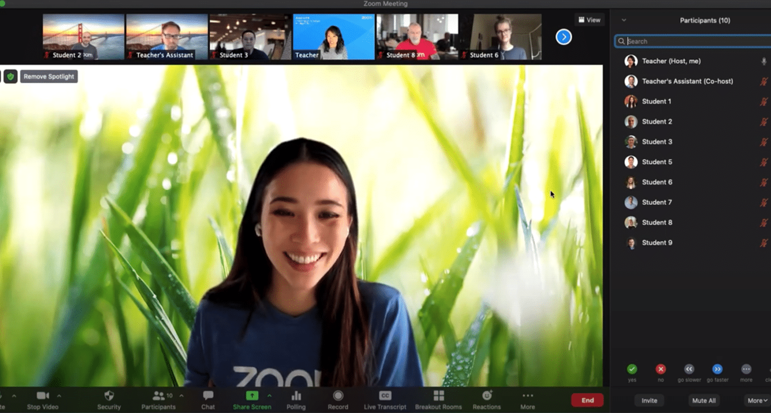 actualizaci&oacute;n de zoom