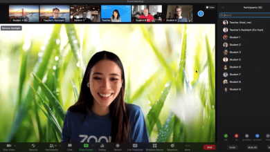 actualizaci&oacute;n de zoom