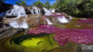 Ca&ntilde;o Cristales reabre sus puertas al turismo a partir de este viernes