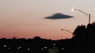 Nuevo informe a detalle de EE. UU revelar&iacute;a que los ovnis est&aacute;n m&aacute;s cerca que nunca