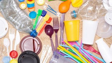 Pl&aacute;sticos de un solo uso