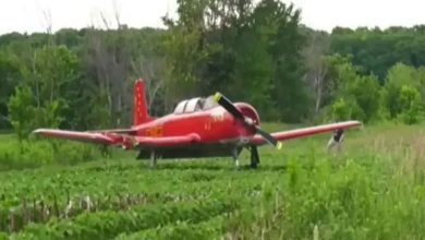 mujer mientras cortaba el c&eacute;sped