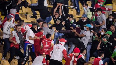 El Camp&iacute;n / Yuber Mosquera