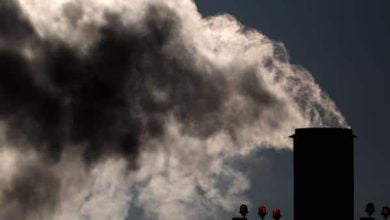 Abren convocatoria para que empresas se unan a la Estrategia Nacional Colombia Carbono Neutral