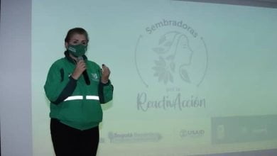 Alcald&iacute;a abri&oacute; vacantes