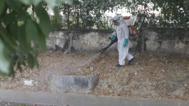Paciente mujer con sarpullidos de fiebre dengue permanencia en la cama de un hospital / dengue