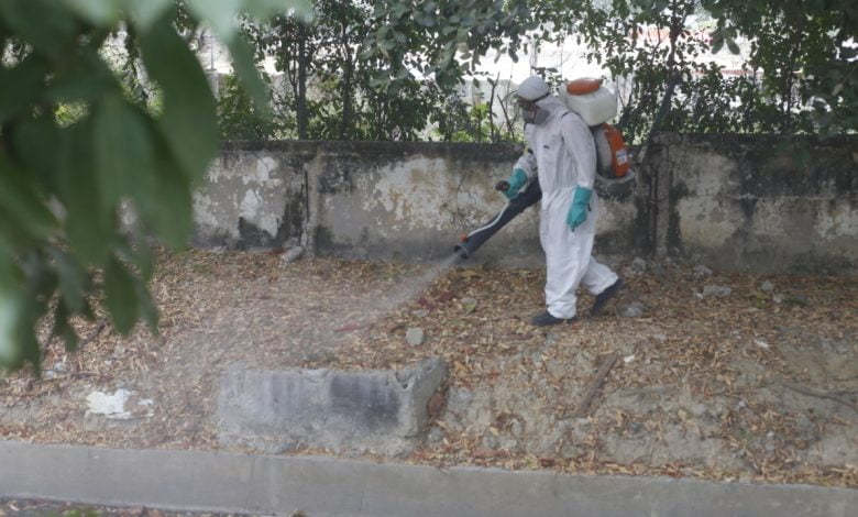 Paciente mujer con sarpullidos de fiebre dengue permanencia en la cama de un hospital / dengue