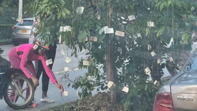 En Cali apareci&oacute; un &aacute;rbol cargado de billetes