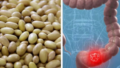 prevenir el c&aacute;ncer de colon