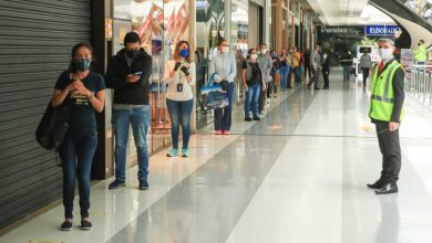 carn&eacute; de vacunaci&oacute;n