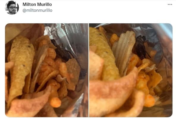 cucaracha en paquete de De Todito 