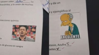 profesora usa memes