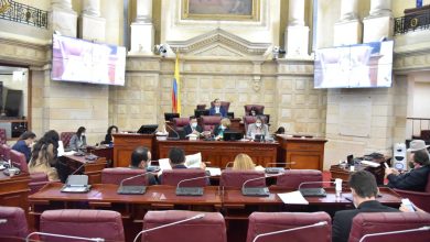 Presencialidad en la C&aacute;mara de Representantes