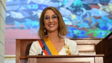 Tesis de Jennifer Arias s&iacute; fue plagio, confirm&oacute; Universidad del Externado
