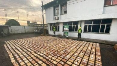 droga incautada a padre de reconocida actriz colombiana