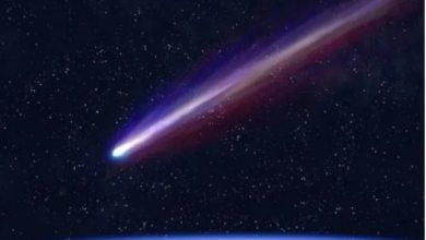 cometa de Navidad / eclipse solar