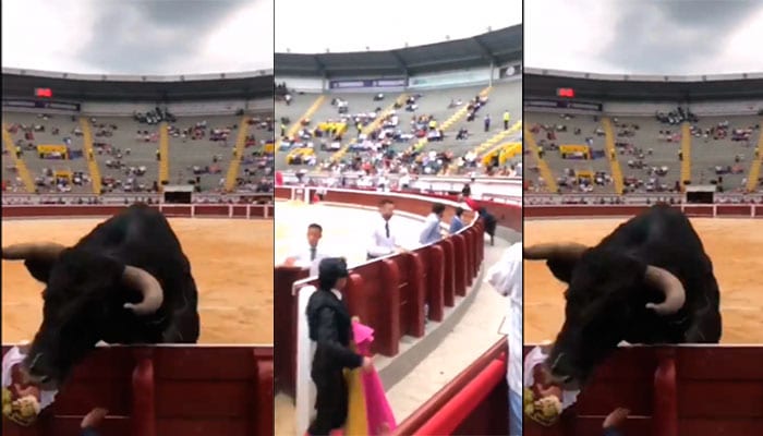 Video: Toro causa gran susto en la plaza de Ca&ntilde;averalejo al saltar la barrera