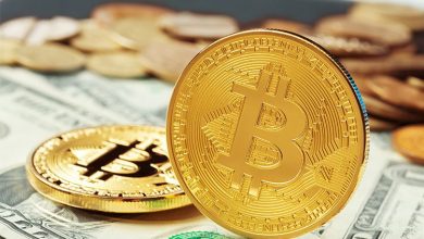 Razones por las que el valor de las criptomonedas se desploma