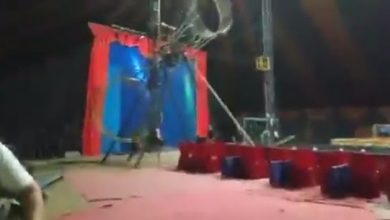 acr&oacute;bata cay&oacute; al vac&iacute;o