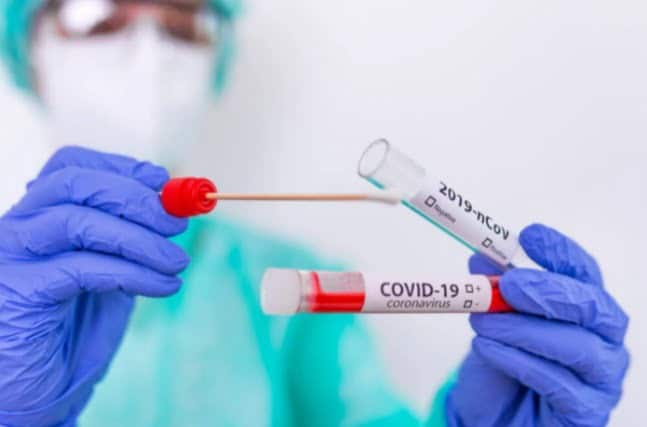 contagios y muertes por COVID