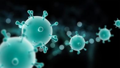 s&iacute;ntoma de la variante &Oacute;micron / fallecidos en Reino Unido