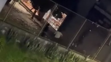 fuga b&uacute;nker Fiscal&iacute;a