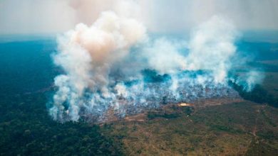 delitos ambientales en Colombia