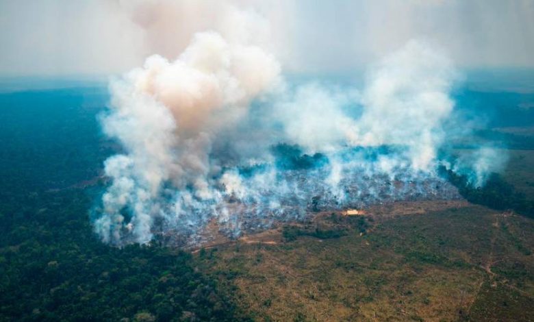 delitos ambientales en Colombia
