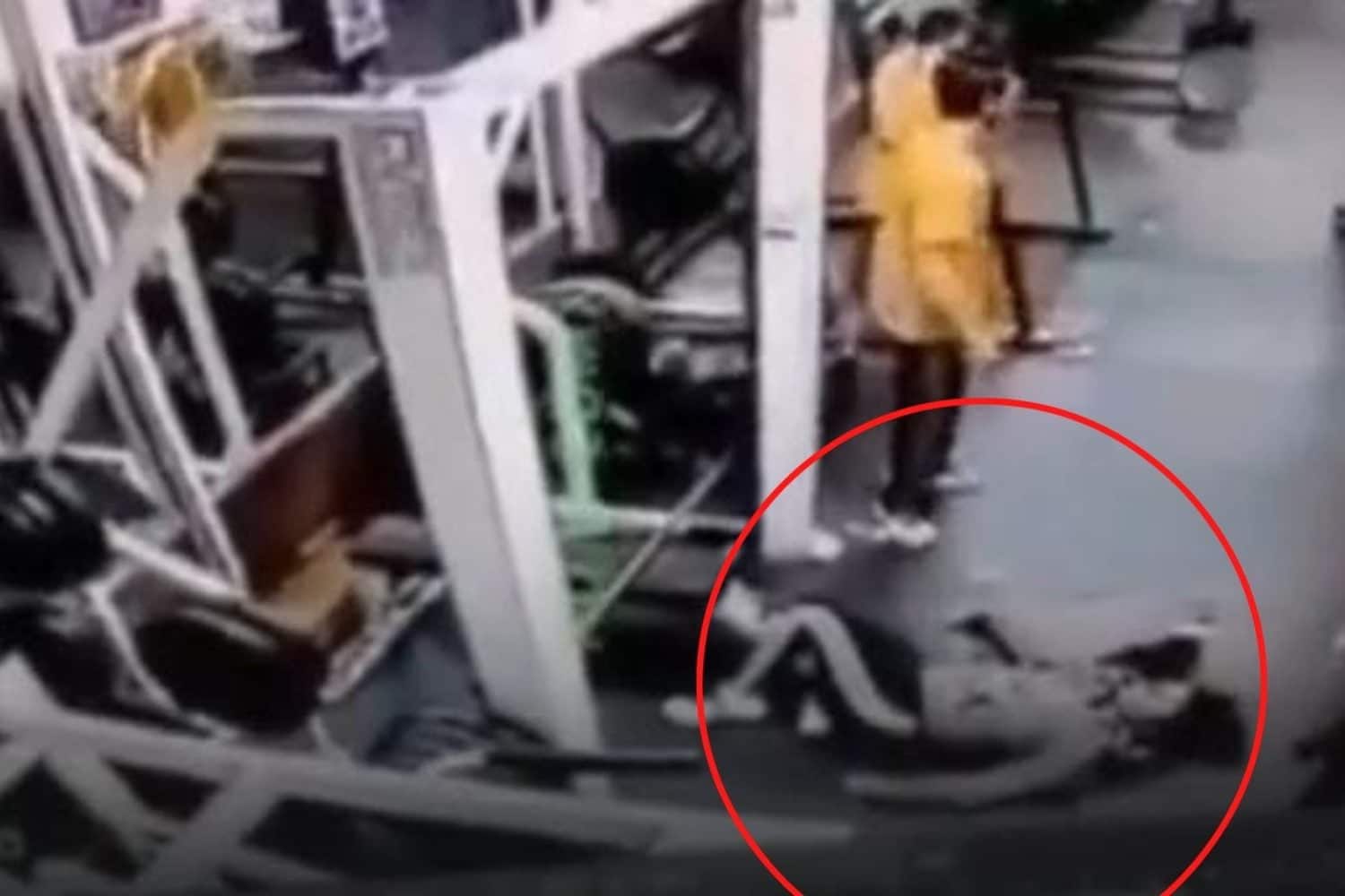 mujer gimnasio M&eacute;xico