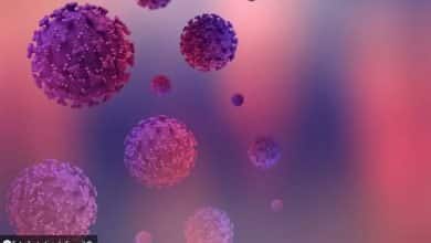 mutaciones del COVID-19