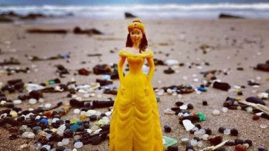 piezas Lego que cayeron al mar