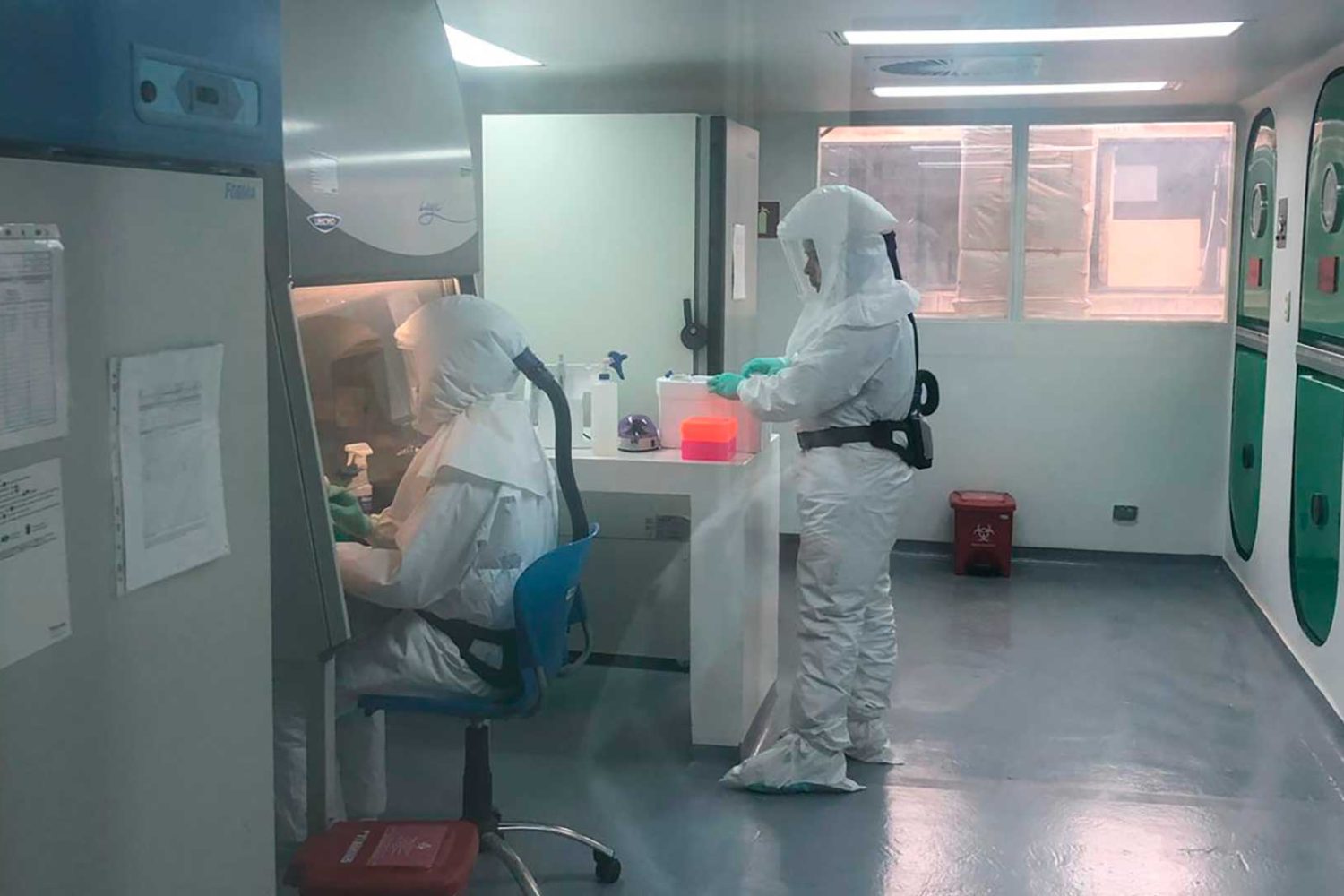 reporte COVID de contagios y muertes