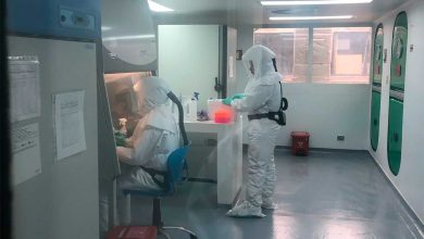 reporte COVID de contagios y muertes