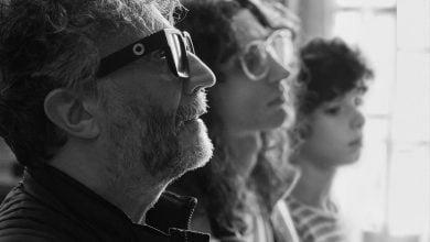 serie de fito p&aacute;ez