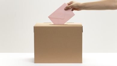 software de elecciones intención de voto