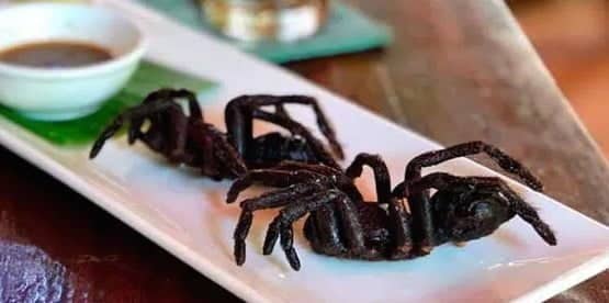 alimentos extra&ntilde;os