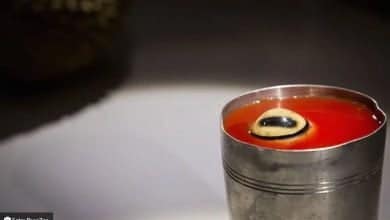 alimentos extra&ntilde;os