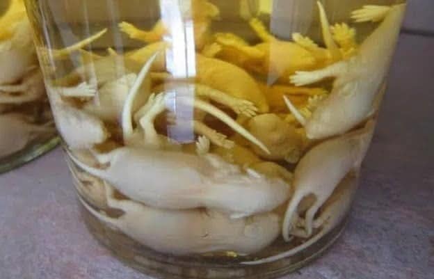 alimentos extra&ntilde;os