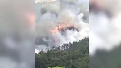 avi&oacute;n en china