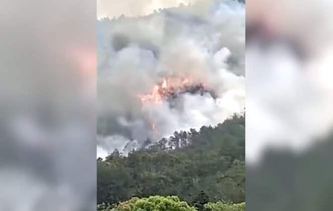 avi&oacute;n en china